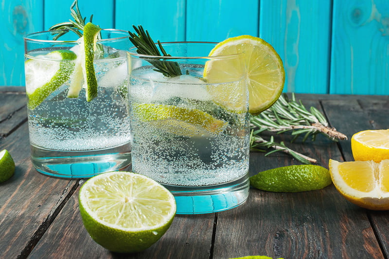 Gin Lovers - 101 recetas para crear con GIN