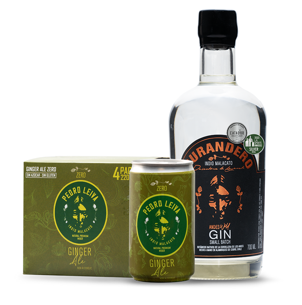 GIN CURANDERO + GINGER ALE | GIN&GIN